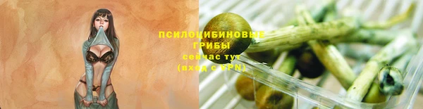 трава Волоколамск